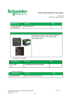 UN38-3-5 Test Summary PPS730 Rev 01