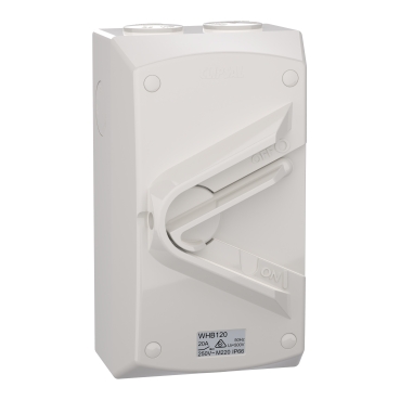 Weathershield, Switch, 1 Gang, 1 Pole, 20A, 250VAC, IP66