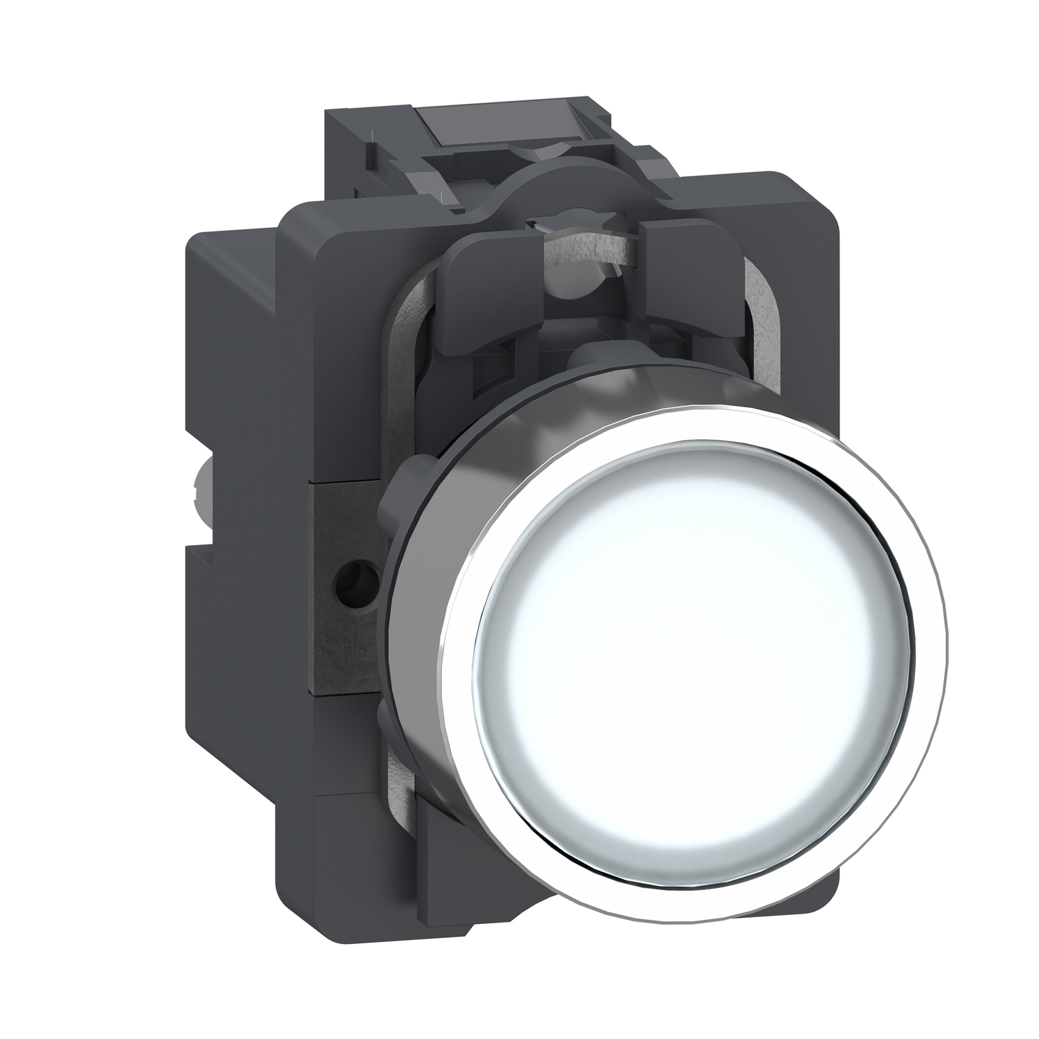 Complete illuminated push button, Easy Harmony XA2, plastic head, 22mm, white, 1NO, AC/DC 24V, spring return