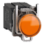 Schneider Electric XB4BV5B5 Picture