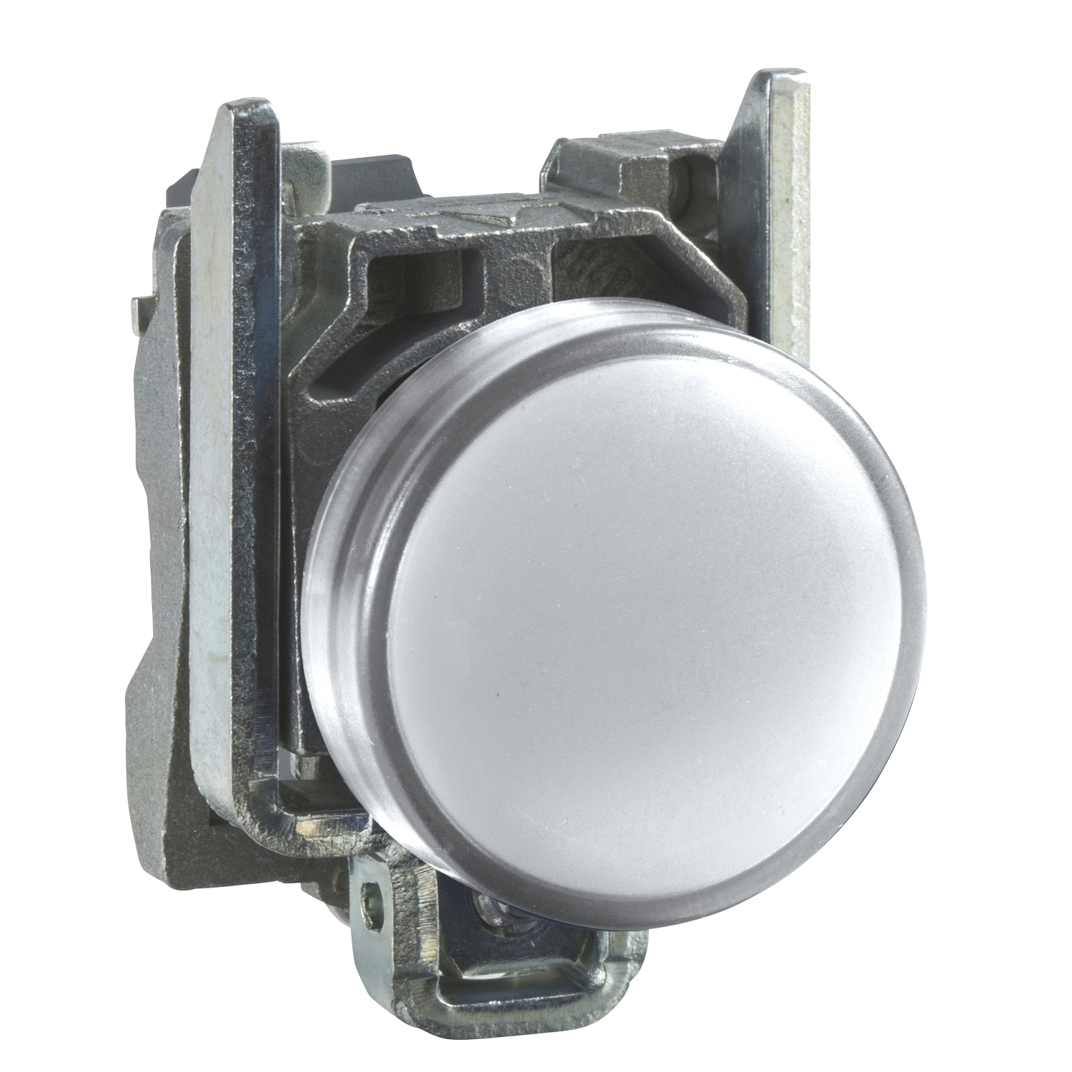 Pilot light, Harmony XB4, grey plastic, white, 22mm, universal LED, plain lens, 230...240V AC