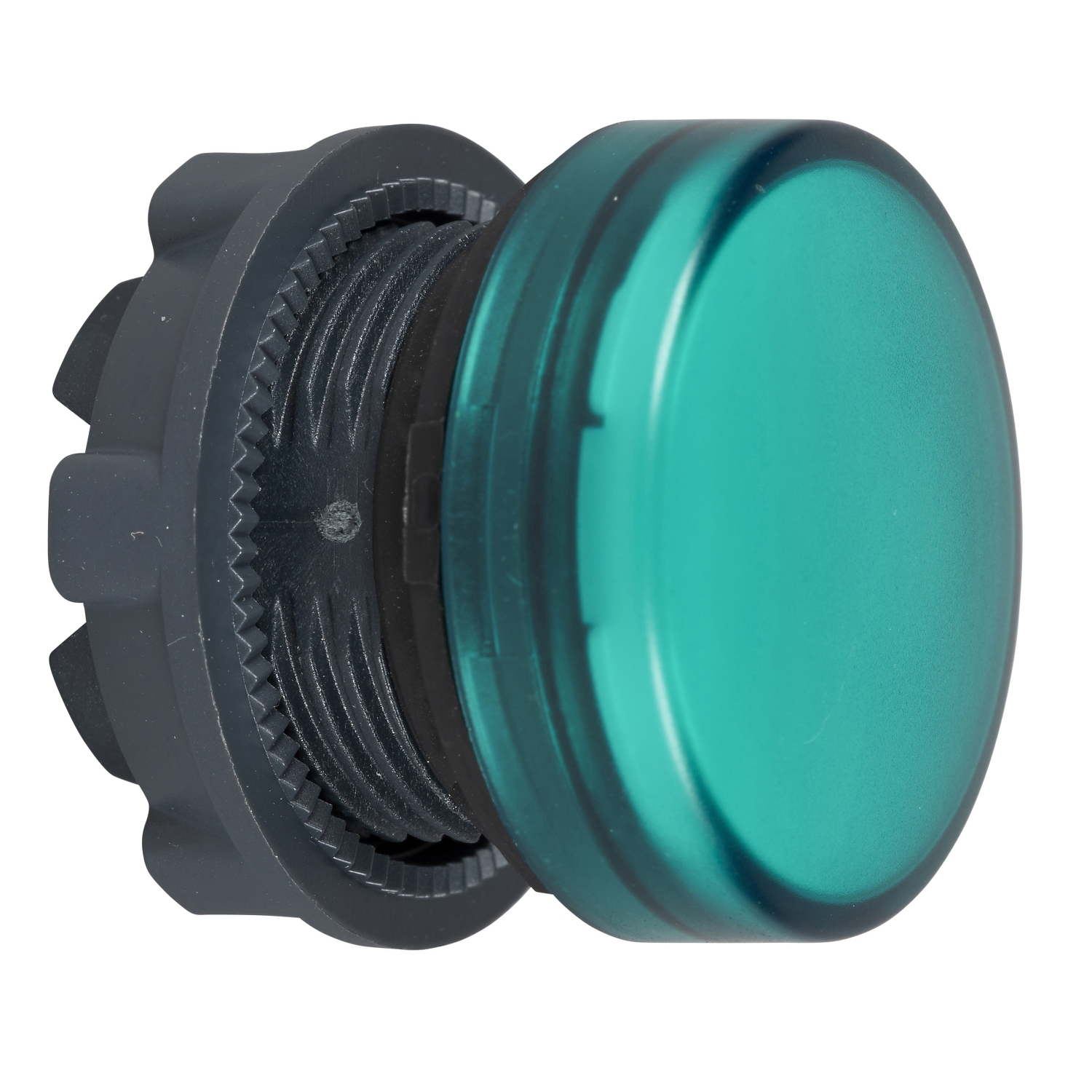 Head for pilot light, Harmony XB5, plastic, green, 22mm, universal LED, plain lens