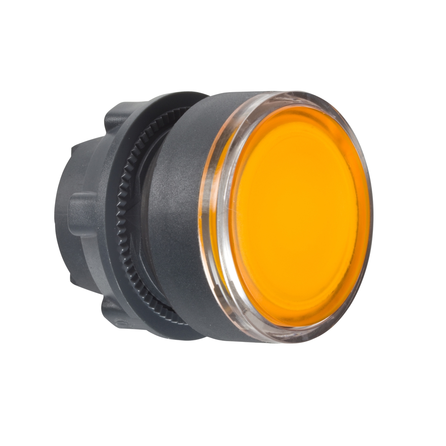 Head for illuminated push button, Harmony XB5, dark grey plastic, orange flush, 22mm, universal LED, push-push, unmarked