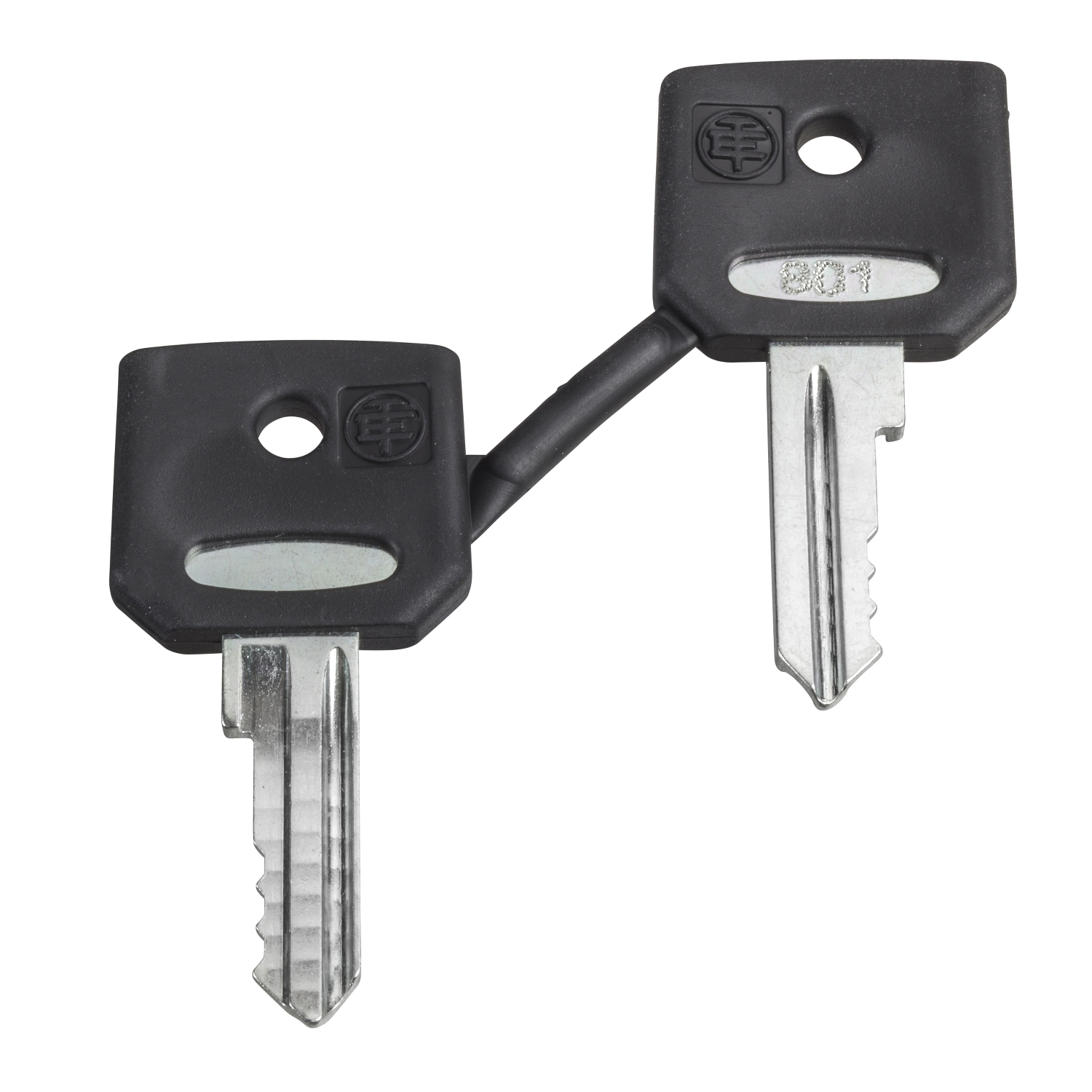 Key, Harmony XB4, emergency stop push button, key 520E, set of 2 keys