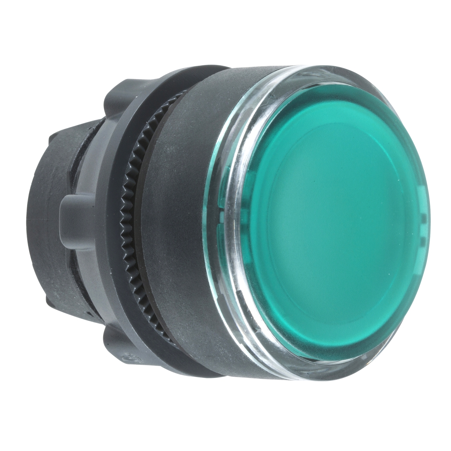 Head for illuminated push button, Harmony XB5, plastic, green flush, 22mm, universal LED, for insetion of legend
