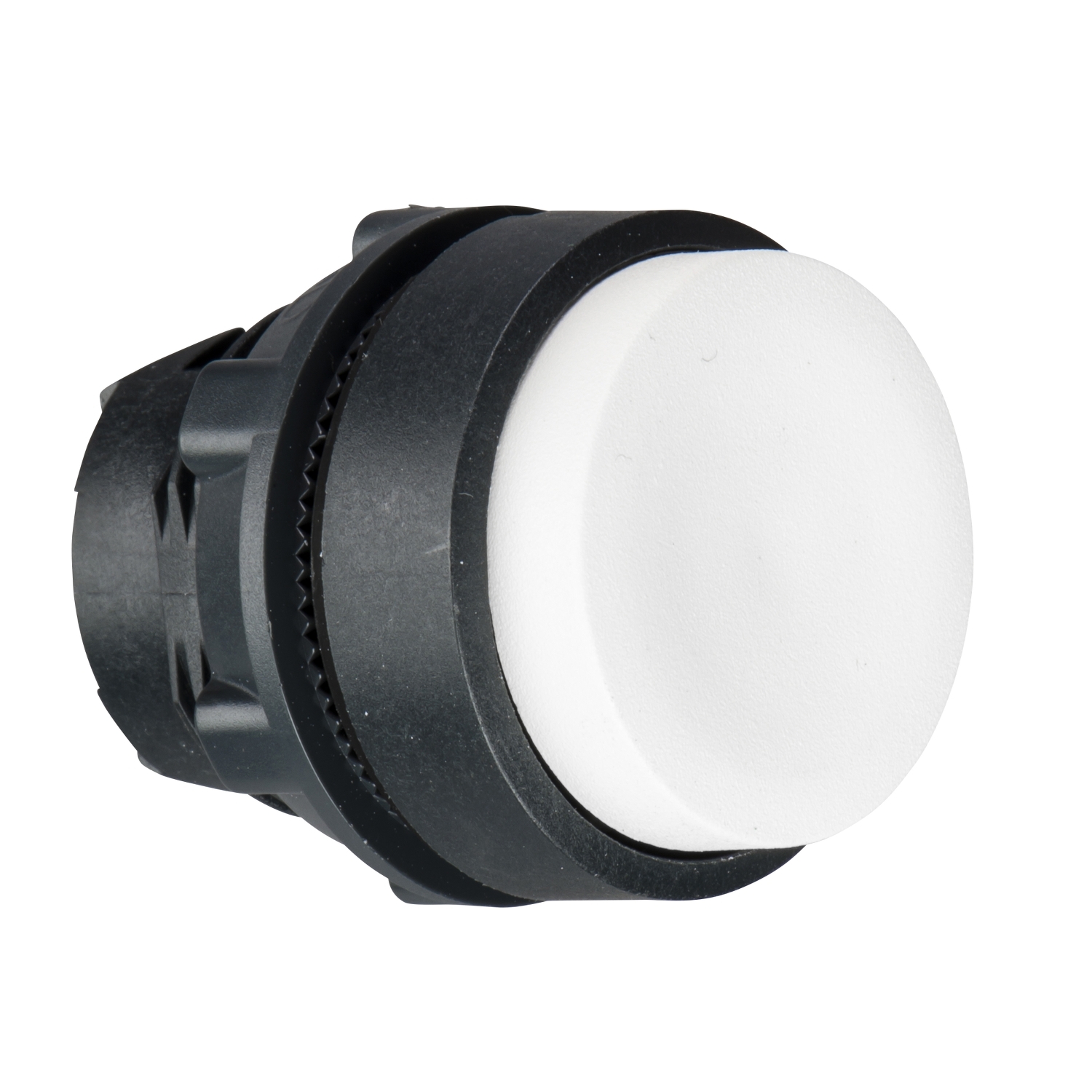 SCHNEIDER ELECTRIC CABEZAL PLASTICO BLANCO SALIENTE 22M PARA XB5-XAL