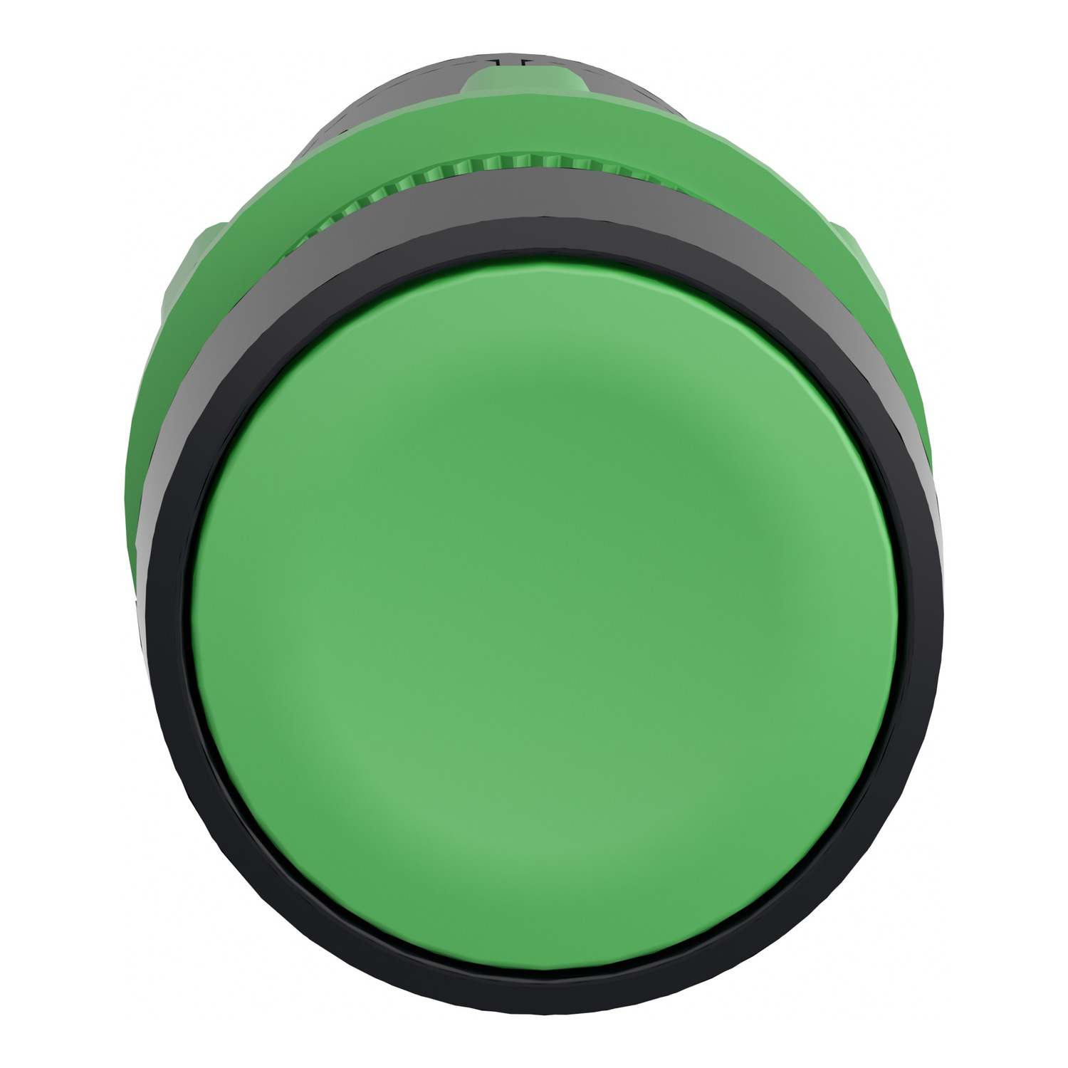 Indicator type 22mm Push Button (XB7NA31) Green (Pack of 5 Pcs) >  Automation & Controls