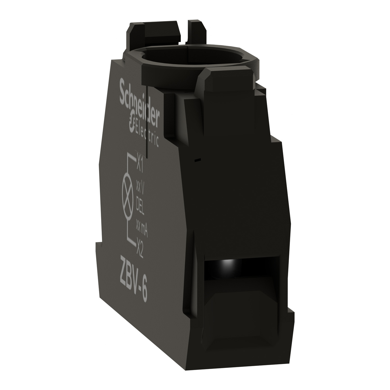 ZBV6