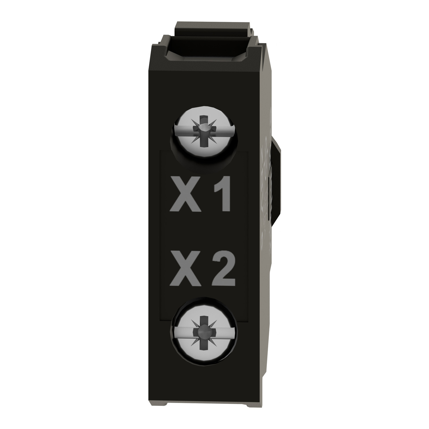 ZBV6