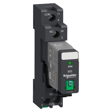 RXG 1CO relay mounted on screw socket with mixed contact terminal