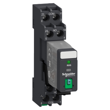 RXG 2CO relay mounted on screw socket with mixed contact terminal