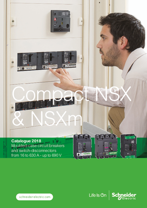 Catálogo Compact NSX - NSXm