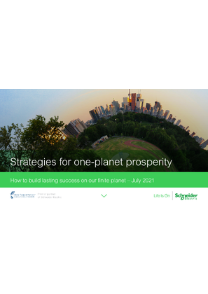 Strategies for one-planet prosperity