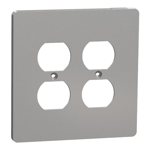 Cover frame, X Series, for 2 duplex socket-outlet, 2 gangs, screw fixed, mid sized, gray, matte finish